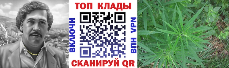 Какие есть наркотики Бирюсинск МАРИХУАНА  Галлюциногенные грибы  Гашиш  Меф  ТГК  A-PVP 