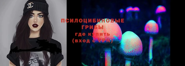 экстази Алексин