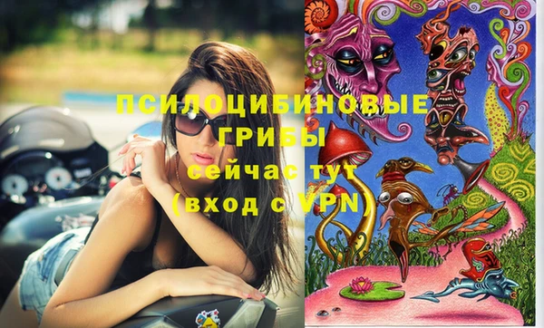 экстази Алексин