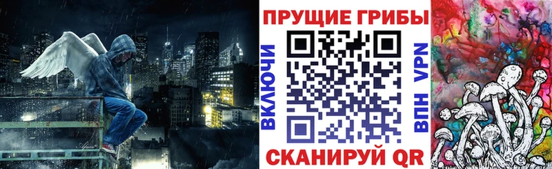 Псилоцибиновые грибы ЛСД  где купить наркоту  Бирюсинск 