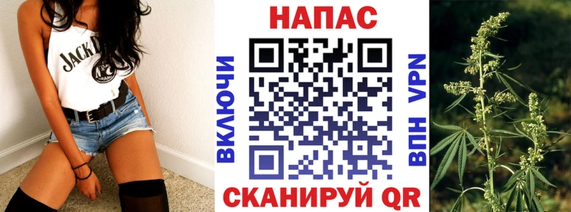 Бошки Шишки сатива  ОМГ ОМГ зеркало  нарко площадка состав  Бирюсинск 